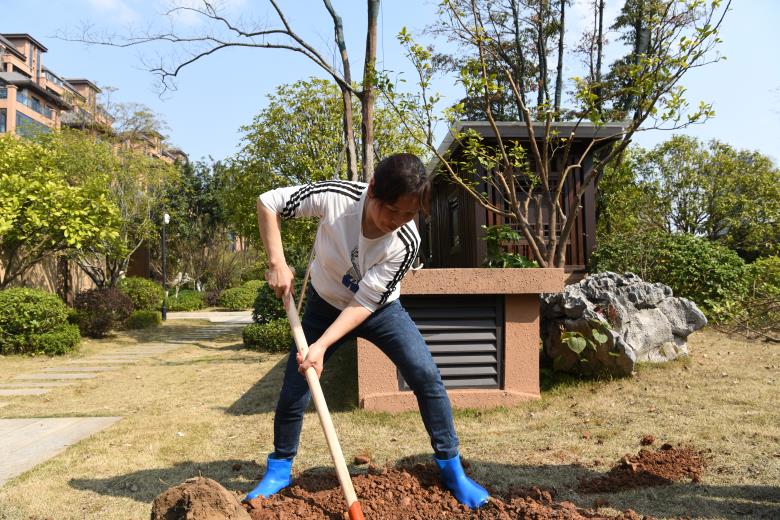 日韩十八禁在线1区2区3区不卡