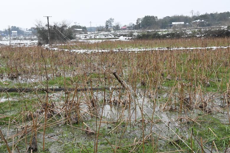 日韩十八禁在线1区2区3区不卡