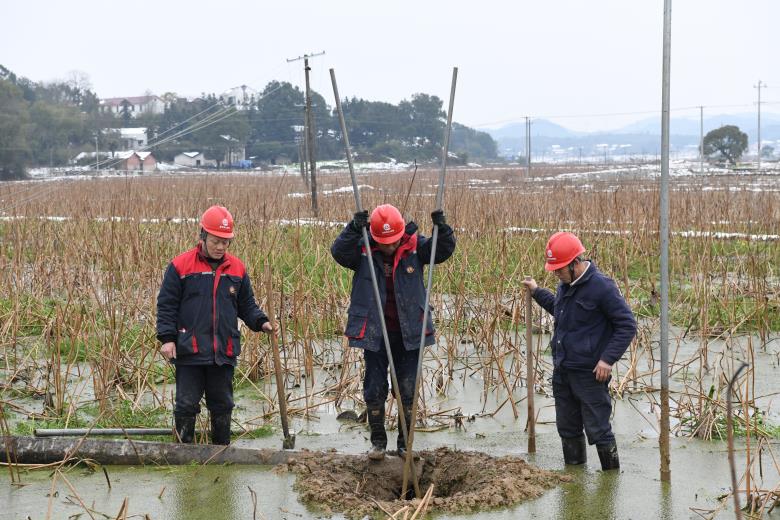 日韩十八禁在线1区2区3区不卡